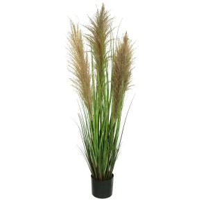 Folhagem Grass Pampas Com Pote Verde 1,2m