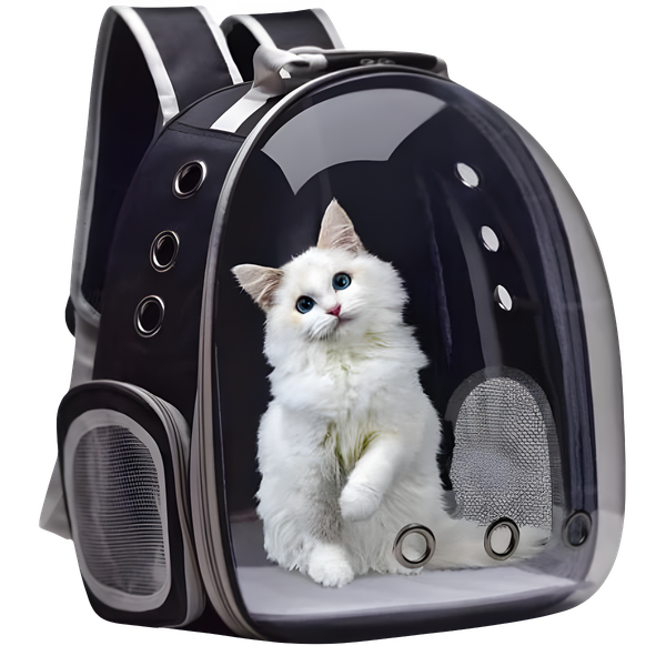 Mochila Pet Para Transporte De Cães E Gatos Visão Panorâmica
