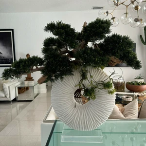 Grande Vaso Eternity com Bonsai Pendente e Madeira de Deriva