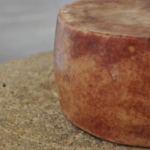 Queijo Tulha