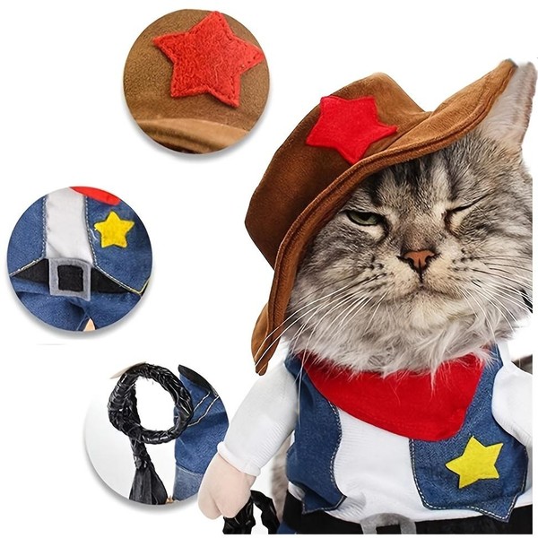 Fantasia de Cherife para Gatos