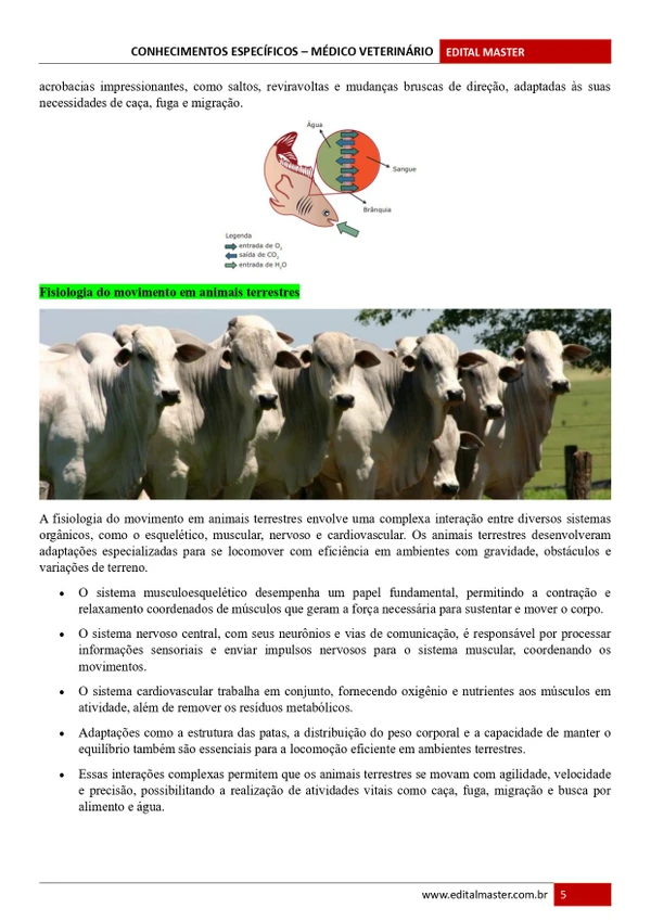Médico Veterinário - Embu das Artes SP