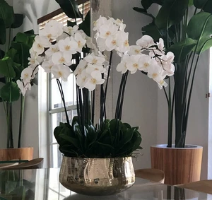 Arranjo Floral de Orquídeas Phalaenopsis em Grande Vaso Dourado