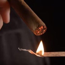 Lâminas de Cedro Pure Flame - (Caixa com 25)