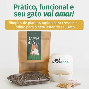  KIT PLANTIO + Vaso Auto irrigável de grama para Gatos