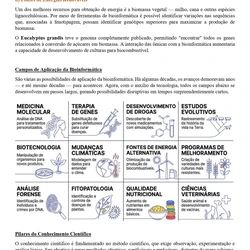 Medicina Veterinária ENARE 2026/2027