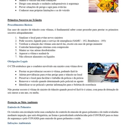 Direito - Polícia Penal RS