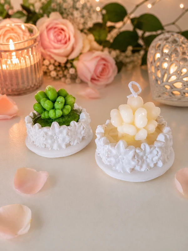 Vela Perfumada em Formato de Suculenta no Vasinho Floral de Gesso