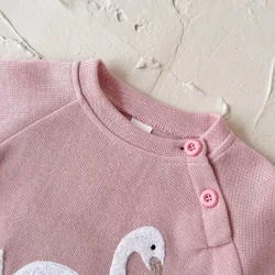 Conjunto Cisne