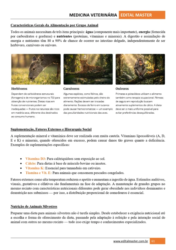 Medicina Veterinária ENARE 2026/2027