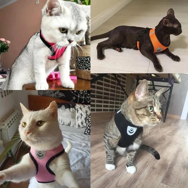 Coleira Peitoral Para Gatos Coleira Com Guia 