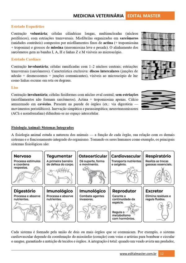 Medicina Veterinária ENARE 2026/2027