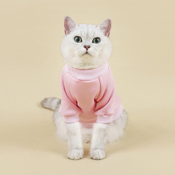 Sueter de Inverno para Gatos