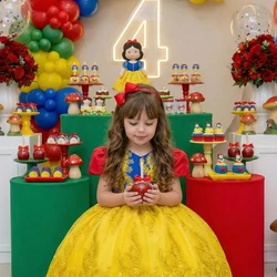 Vestido Temático Luxo Bordado - Branca de Neve  