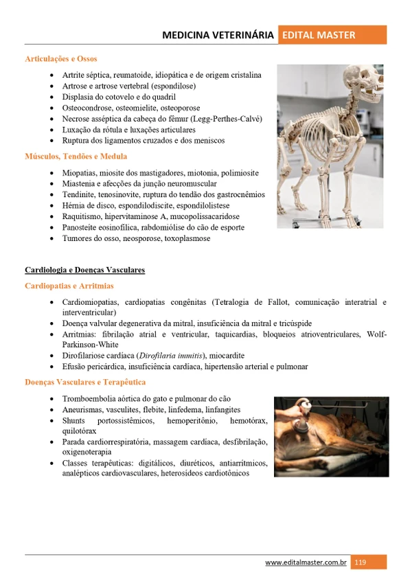 Medicina Veterinária ENARE 2026/2027