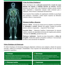 Fisioterapeuta - SES TO