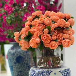 Vaso Cilindro de Vidro Transparente com Rosas Inglesas