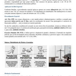 Direito - Polícia Penal RS