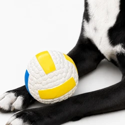 Sport Volleyball 