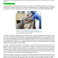 Médico Veterinário - Embu das Artes SP
