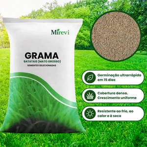 Sementes de Grama dos Batatais Selecionadas - TerraVerde™