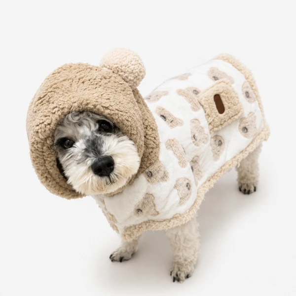 Poncho Teddy