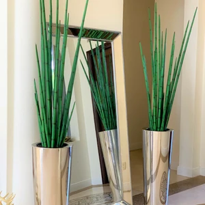 Grande Vaso Cone de Aço Inoxidável Polido com Grande Planta de Capim-Cobra.