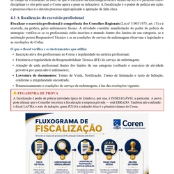 Enfermeiro Fiscal - Coren/SP