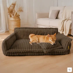 Sofá Cama Ortopédico + Brinde Exclusivo