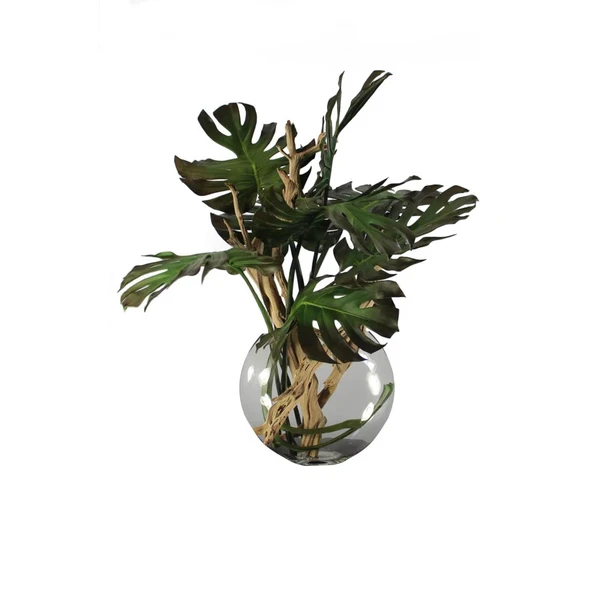 Vaso Moon com Folha de Monstera e Madeira de Deriva