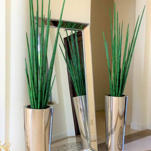 Grande Vaso Cone de Aço Inoxidável Polido com Grande Planta de Capim-Cobra.