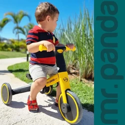 Triciclo Mr. Panda Infantil Dobrável