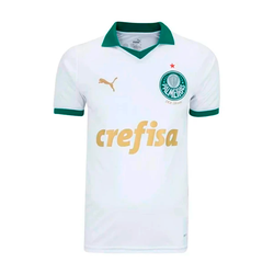 Camisa Palmeiras II 24/25 -Masculino