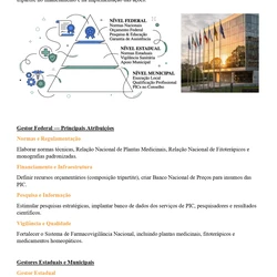 Saúde Coletiva ENARE 2026/2027