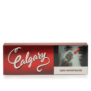 Cigarro Calgary (Indonesia) Cravo - Pacote com 10