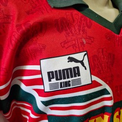 Camisa Rugby País de Gales 1995