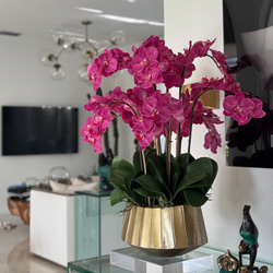 Vaso Barco Helena com Orquídeas Phalaenopsis Rosa