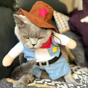Fantasia de Cherife para Gatos