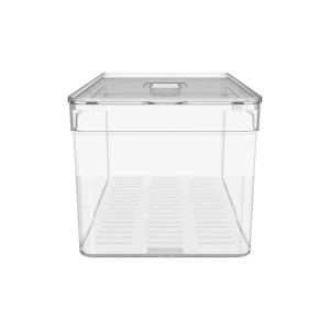 Organizador De Geladeira Com Tampa Clear Fresh 30x15x13cm Natural