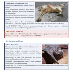  Médico Veterinário - Concurso Unificado Piauí