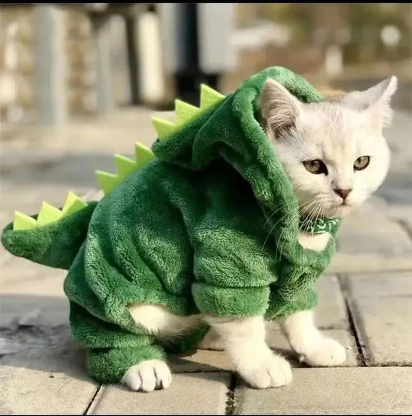 Fantasia de Dinossauro para Gato