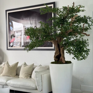 Bonsai Artificial de Oliveira Preta em Vaso Belle Branco Brilhante