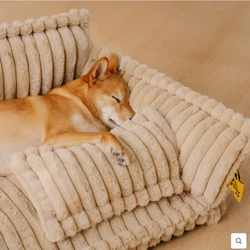 Sofá Cama Ortopédico + Brinde Exclusivo