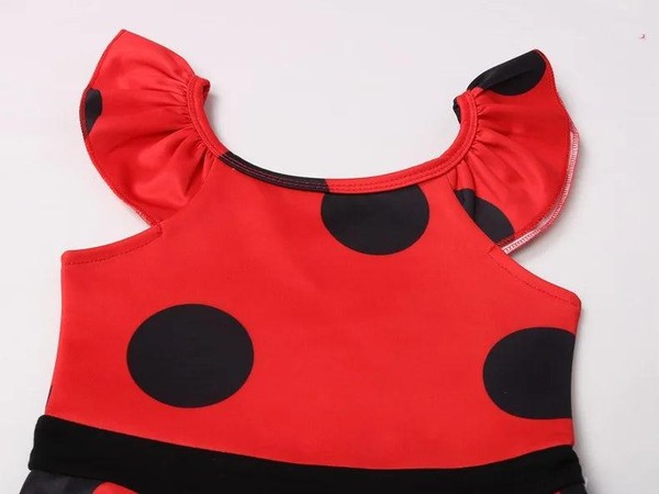 Fantasia Ladybug -  Miraculous Verão